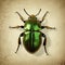 green beetle on a gold background