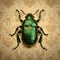 green beetle on a gold background