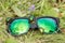 Green beetles on mirror sunglasses