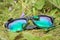 Green beetles on mirror sunglasses with purple tint
