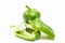 Green bell pepper