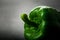 Green bell pepper