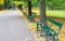 Green benches in the park against the background of trees