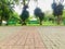 Green benches and trees with brown walkway flooring are made of bricks