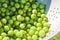 Green berries of a gooseberry close-up