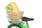 Green Bicycle with Box