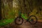 A green bicycle on the pathway in a forest after rain