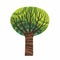 Green big old tree isolated on white vector. Strong cartoon stylized tree stock flat illustration.