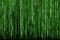 Green Binary Code