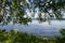 green birch trees hanging over Lake Starnberg or Starnberger See in Bernried on sunny May day, Bavaria, Germany