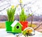 Green bird house and Narcissus in pots, shovel and seeds against garden in spring