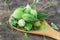 Green bitter gourds