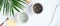 Green and black face clay masks in bowls with tropical palm leaf on marble background. Flat lay, top view. Facial skincare, SPA