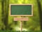 Green blackboard with wood frame single pole and forest background