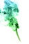 Green and blue colored real smoke on white background