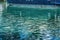 Green Blue Water Reflection Abstract Channel Marina Miami Florida