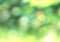 Green blurred foliage background,defocused nature texture,natural summer backdrop