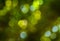 Green bokeh (like in garden)