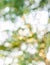 Green Bokeh texture or background, blur circle