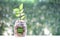 Green bonds,Trees growing on coins money and glass bottle on green background, investment and business concept