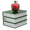 Green books textbook stack blank bookmark and red apple