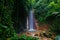 Green botanical garden in Soufriere, Saint Lucia