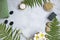 Green botanical spa flatlay with fern, charcoal soap, massage stones, frangipani flowers and bath salt