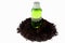 Green bottle and soil