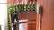 Green bottles on conveyor belt. Beer bottling machine working in brewery factory