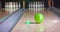 Green Bowling ball