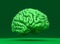Green brain on monochrome background