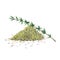 Green branch of thyme and dry spice.  Thyme set  isolated on white background.  Watercolor illustration