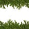 Green branches of spruce on a white isolated background. Greeting card for New Year and Christmas. Frame of evergreen sprigs of