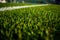 Green bright colorful grass pitch of football stafium, close up with beautiful bokeh