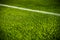 Green bright colorful grass pitch of football stafium, close up with beautiful bokeh