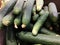 Green bright long cucumbers with flowers in the supermarket