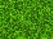 Green bright pixel texture