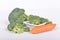 Green broccoli and carrot lying on white background