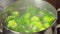 Green broccoli florets simmer and steam up the screen, showcasing a simple yet essential cooking.