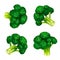 Green broccoli icon set, isometric style