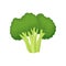 Green broccoli and organic food. Vegetarianism concept.