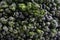 Green broccoli vegetable texture