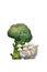 Green Brocolli with white shimeji mushroom