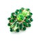 A green brooch isolated