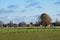 Green and brown agriculture fields around Saint Brixius Rode, Flemish Brabant, Belgium