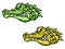 Green and brown crocodiles