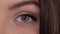 Green brown eye close-up