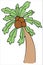 Green and brown palm tree with coconuts, vector color doodle element