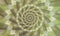 Green brown spiral background for wallpapers