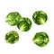 Green brussels sprouts cabbage isolated